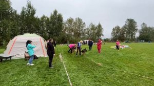 ЩЕНКИ КОБЕЛИ / КЧК САНКТ-ПЕТЕРБУРГ 30 августа`25 В.Хижняк Моно немецких овчарок