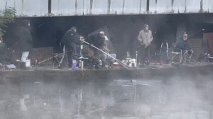 Утро на водоёме.Форель