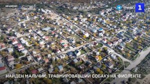 Найден мальчик, травмировавший собаку на Фиоленте