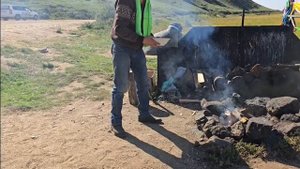 Буха шулуун 2025