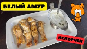 Рыба на мангале. Жарим на решетке рыбу Белый Амур. Готовит Эдуард Иванович.