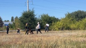 2 Отл. СС YUVENIR Olympionike +++ №8. ЭНГЕЛЬС 30 августа`25 Моно немецких овчарок