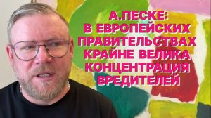 А.ПЕСКЕ: Ряд правительств в Европе балансируют на грани того, что их очень скоро начнут просто бить