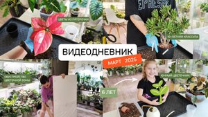 ВИДЕО ДНЕВНИК | цветы из пятёрочки, переделки цветочной зоны, посадки в 6 лет, цветочные лайфхаки