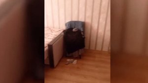 землетрясение на камчатке 13.09.2025