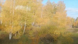 Послушайте очень красивую песню. Исполнитель Кибирев Игорь - Осень разлуки....