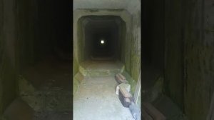 овраг на севере города Вольск 13 сентября 2025 года