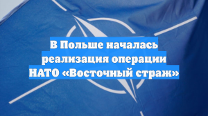 В Польше началась реализация операции НАТО «Восточный страж»