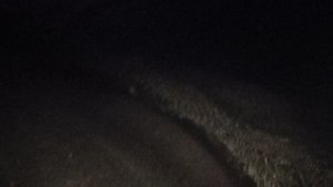 Ночные виды Обского моря: прозрачная вода, песок и огни городов. Также о: HAARP, МКС, ионосфере 🔮