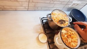 Грибы Трутовик Серножёлтый #природа #nature #mushroom