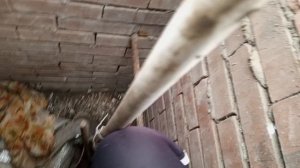 Подготовка к зиме, уличная колонка