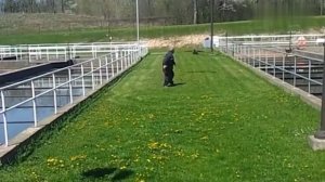 Смех до слёз.