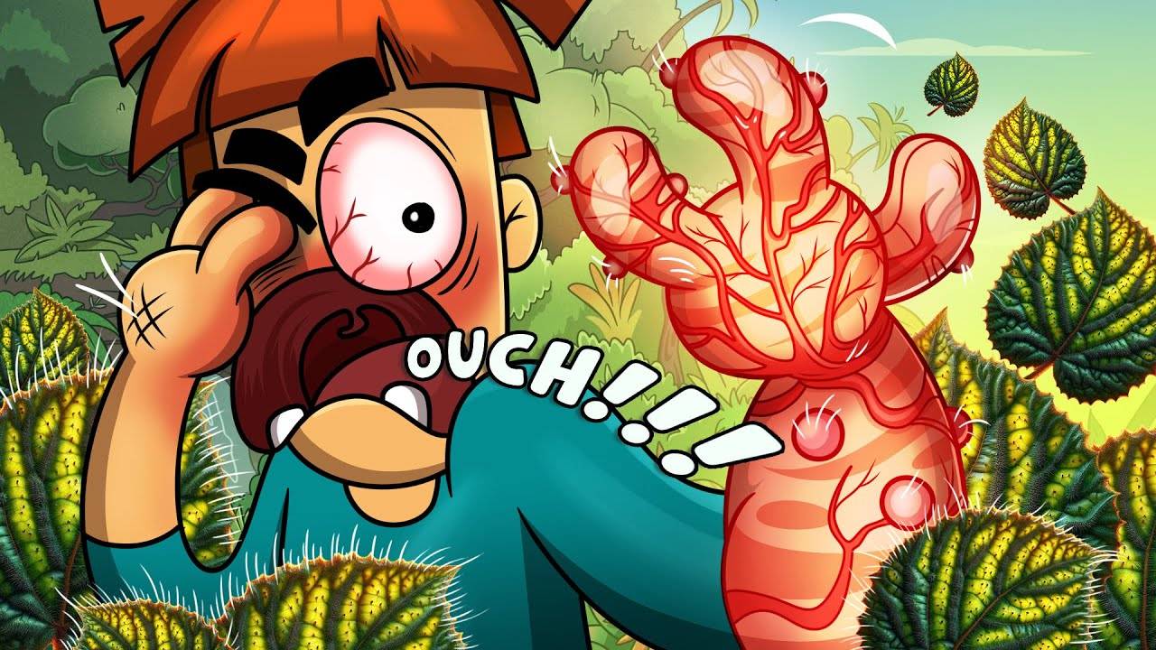 Что если съесть плод гимпи гимпи? Поездка в Австралию смотреть онлайн