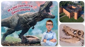 Музей скелетов динозавров🦖🦕