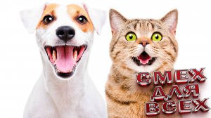 СМЕШНЫЕ МОМЕНТЫ С ЖИВОТНЫМИ И ЛЮДЬМИ ДО СЛЁЗ😂//Дикий смех: звери и люди без тормозов!