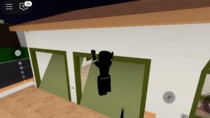 слежу за нориком и кареном в роблоксе