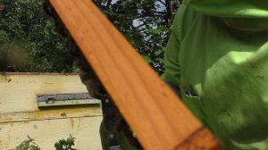 ОБЪЕДИНЕНИЕ СЕМЕЙ