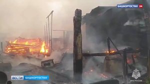 Дети остались сиротами: в Башкирии многодетная семья потеряла дом и родителей в пожаре