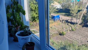 деревенской суббота в деревне