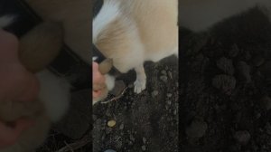 VID_20250912_184142.mp4