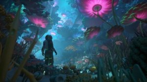 Tropical House Study Vibes - Deep Focus Music for Immersion in a Cosmic Scene