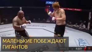 Маленькие побеждают гигантов (Подборка видео)