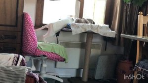 4 минут из жизни двух Ориенталов