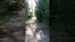 Пионерский лагерь 🏕️ Луковое Озеро