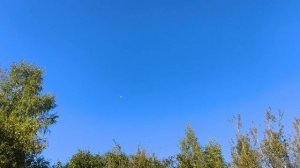 13 сентября.
Утренний обход, дачного участка.
Московская область.