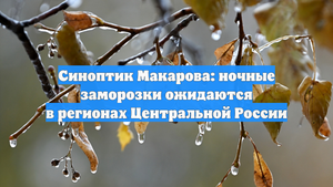 Синоптик Макарова: ночные заморозки ожидаются в регионах Центральной России