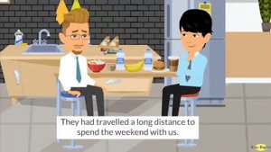 Past Perfect Continuous in use