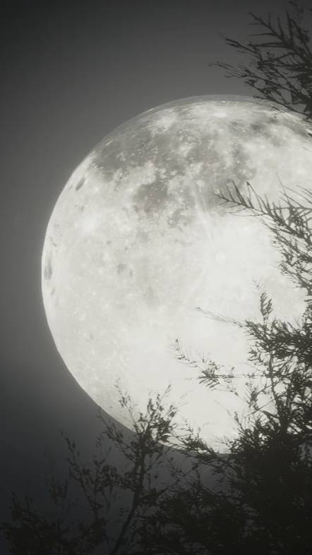 The Quarry. Глава 5 "Белый шум".