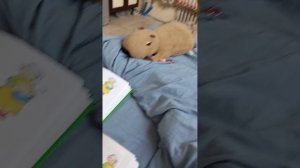 гусиная школа 4 серия 2 сезон
