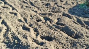 12 сентября 2025