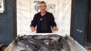 хороший улов на малом водоёме
