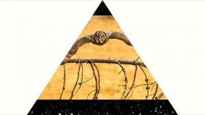 York & Mysticage - Oceanica