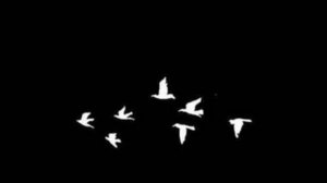 тишина детства 🤍