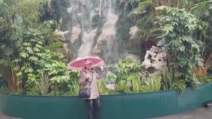 Москва Манежная площадь Пальмы и водопад Красиво!