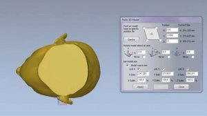 импорт_модели