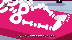 Учиться Вместе | Песни про Части Тела и Космос | +Сборник | Пинкфонг Песни для Детей