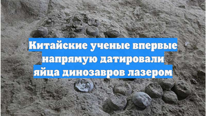 Китайские ученые впервые напрямую датировали яйца динозавров лазером