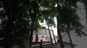 гуляем с Наташей