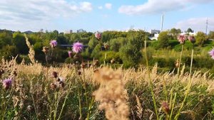 Сентябрьская прогулка