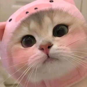 всем привет сегодня концерт