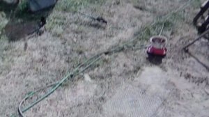 СТОЛОВАЯ для животных        ПОДПИШИСЬ