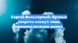 Сергей Валькирный: Прямые запреты влекут лишь криминализацию рынка