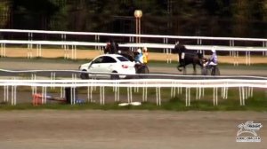 Прямая трансляция 13 сентября 2025 - день испытаний на ипподроме Акбузат.