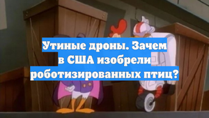 Утиные дроны. Зачем в США изобрели роботизированных птиц?
