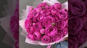 пионовидная роза