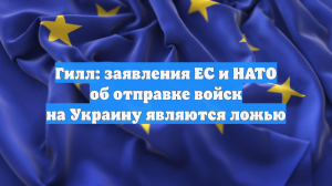 Гилл: заявления ЕС и НАТО об отправке войск на Украину являются ложью
